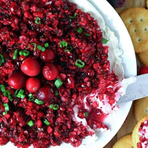 Cranberry Dip feature