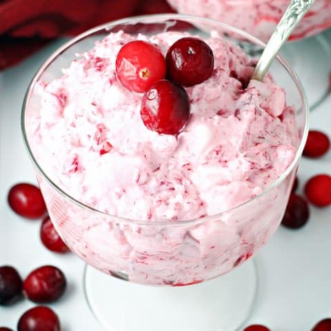 Frozen Cranberry Salad feature