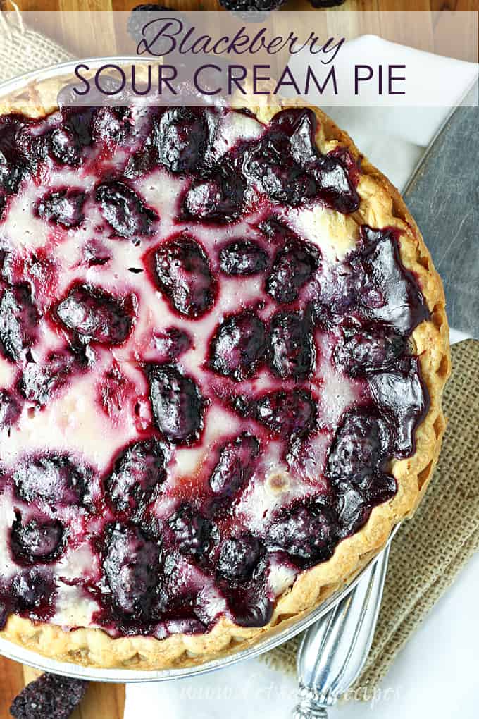 Blackberry Sour Cream Pie