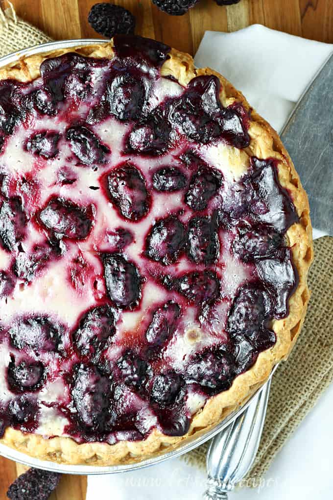 Blackberry Sour Cream Pie