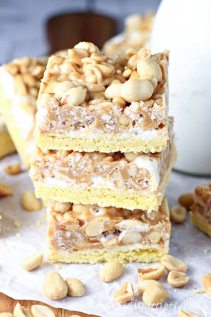 Salted Nut Roll Bars