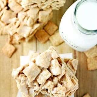 Cinnamon Toast Crunch HeroW