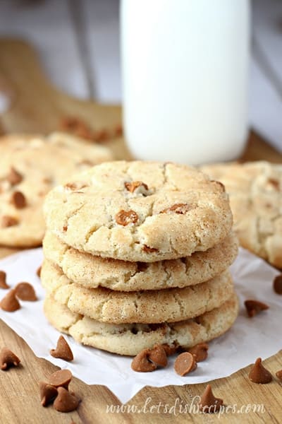 The Best Cinnamon Chip Snickerdoodles