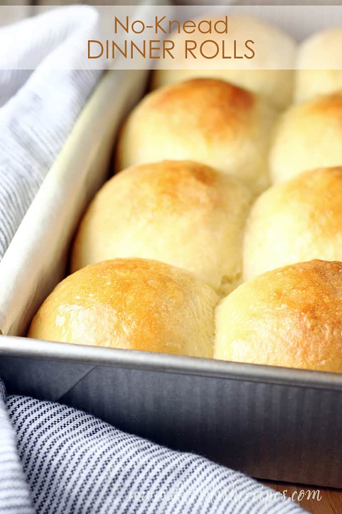 Fluffy No-Knead Dinner Rolls