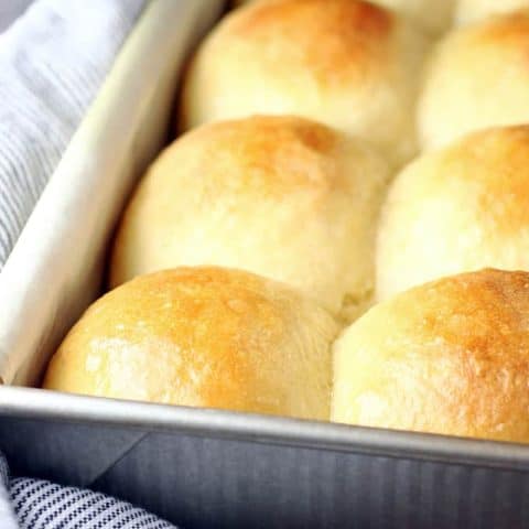 No Knead Dinner rolls 2feature