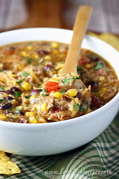 Slow Cooker Southwest Pork Stew