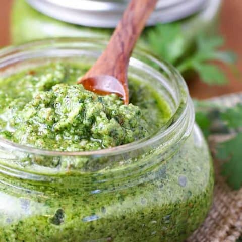 Cilantro Pesto feature