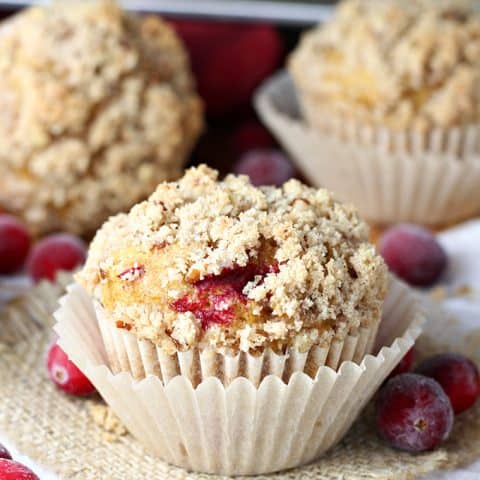 Pumpkin Cranberry Streusel feature