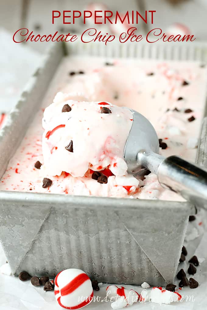 Homemade Peppermint Chocolate Chip Ice Cream