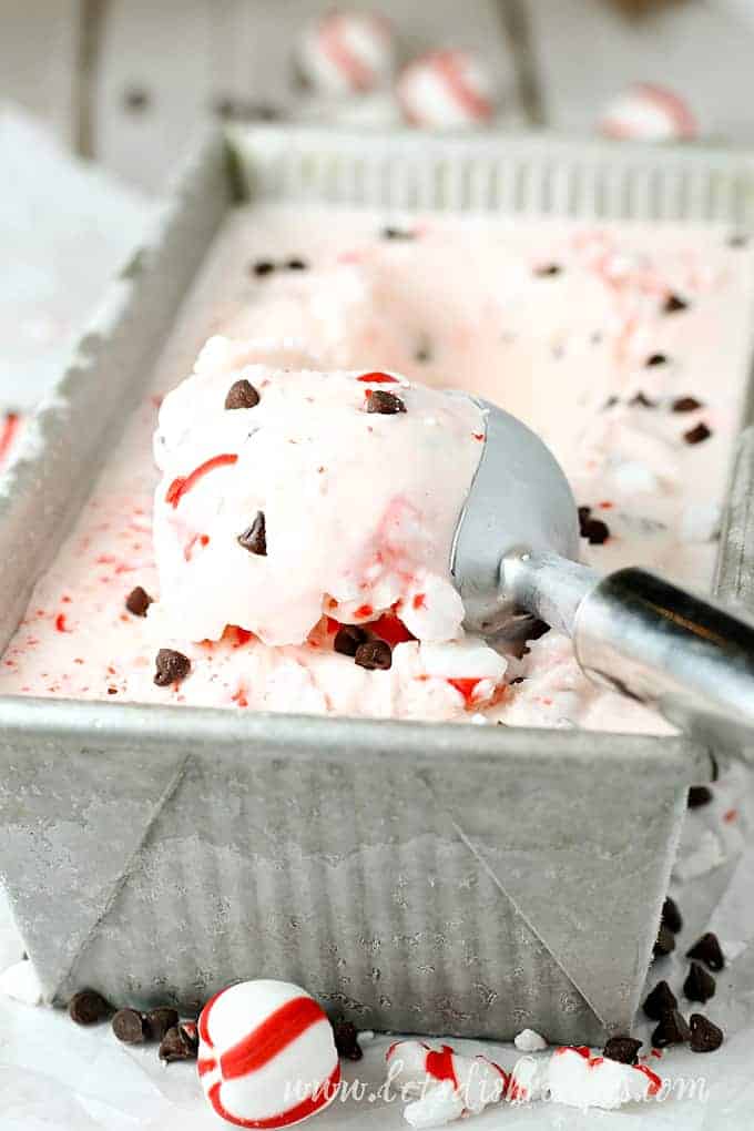 Homemade Peppermint Chocolate Chip Ice Cream