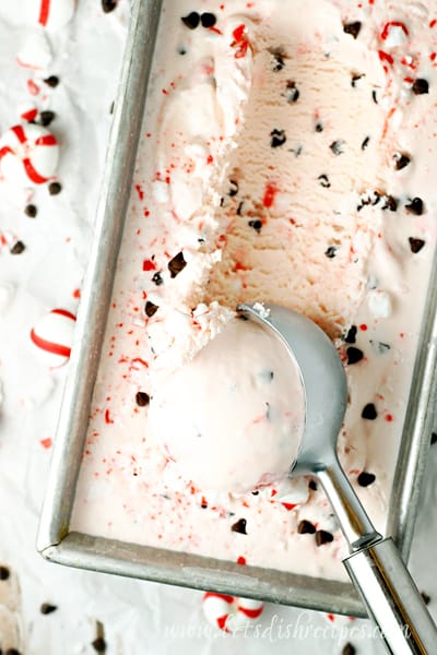 Homemade Peppermint Chocolate Chip Ice Cream