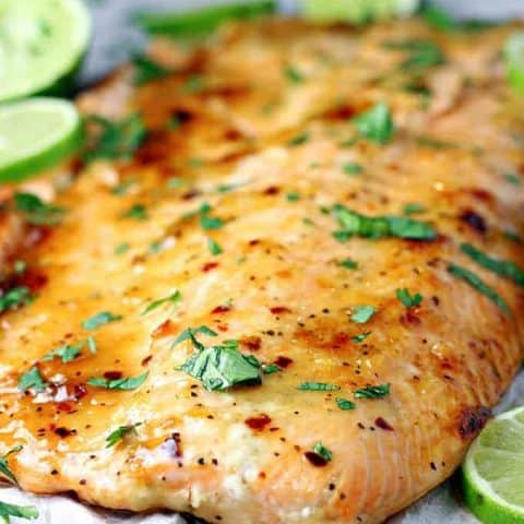 Cilantro Lime Salmon feature