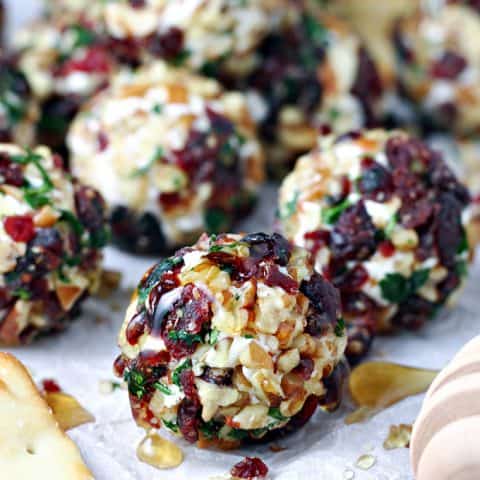 Cranberry Nut Goat Cheese Bites feature