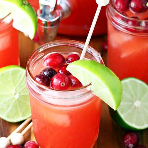 Cranberry Pineapple Punch feature