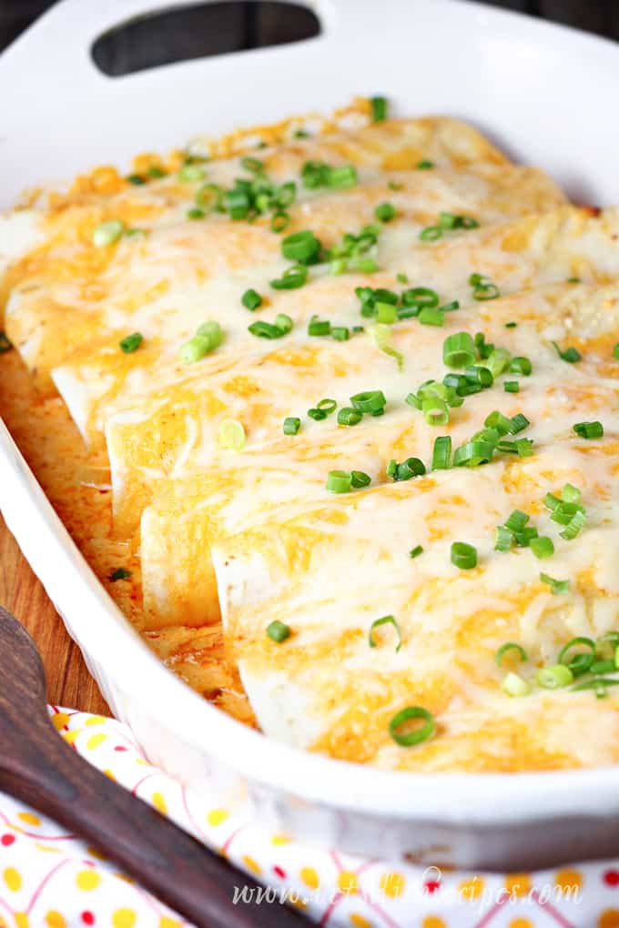 Creamy Buffalo Chicken Enchiladas