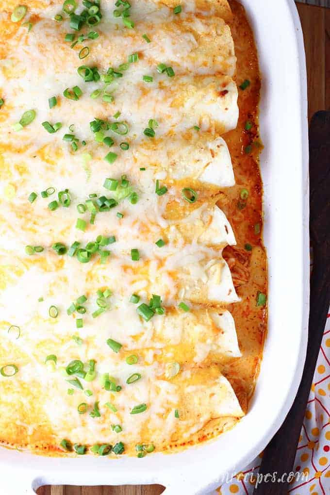 Creamy Buffalo Chicken Enchiladas