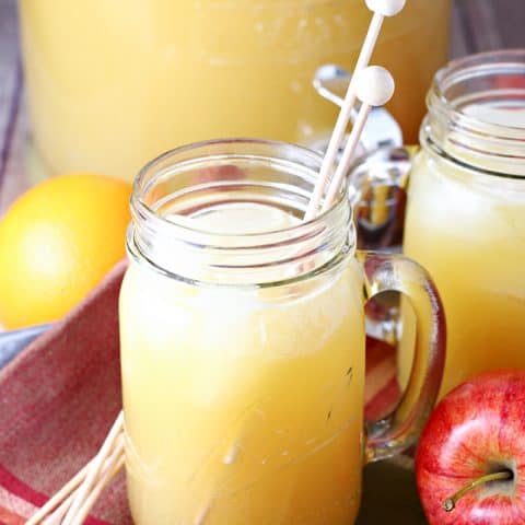 Sparkling Apple Cider Punch feature