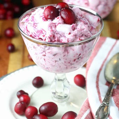 Frozen Cranberry Salad feature