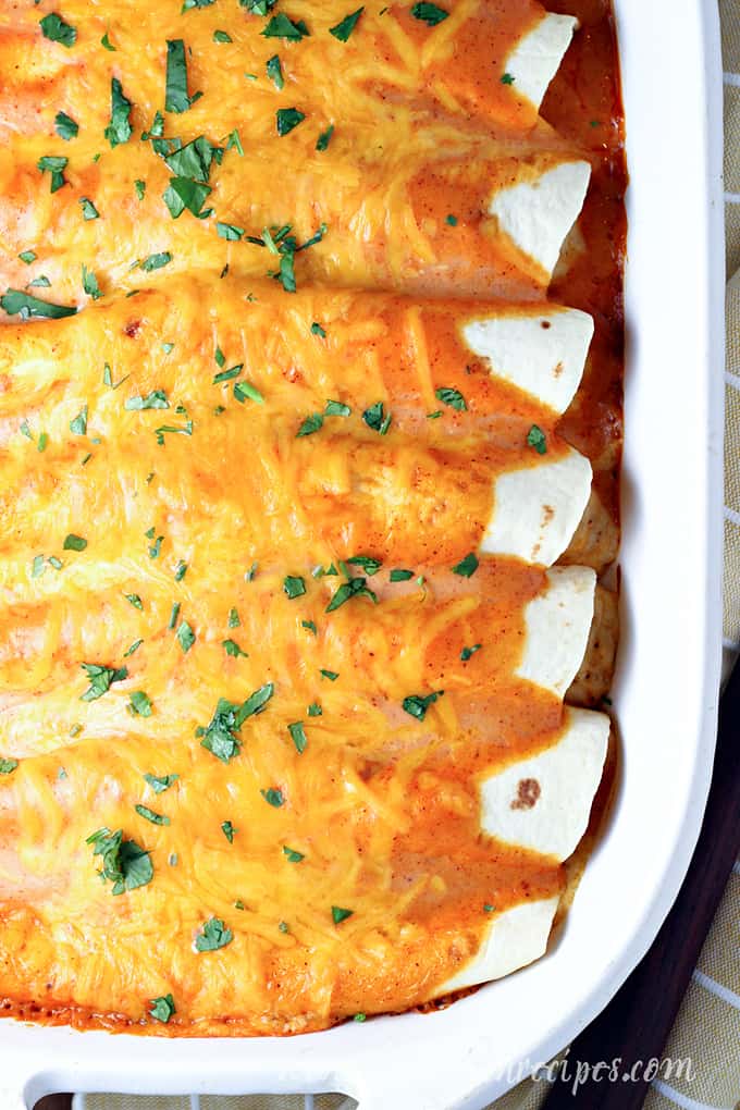 Easy Cheese Enchiladas