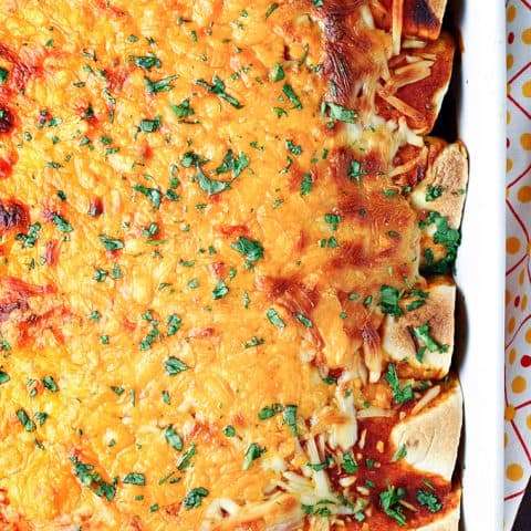 Al Pastor Style Shredded Beef Enchiladas feature