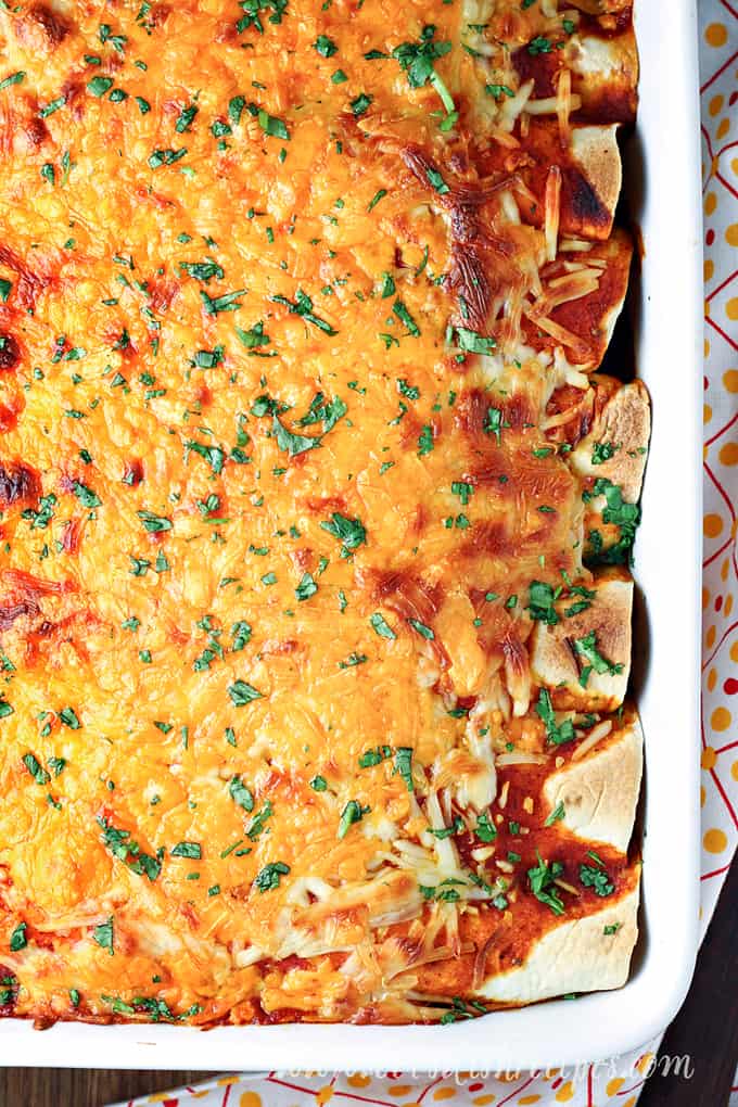 Al Pastor-Style Shredded Beef Enchiladas