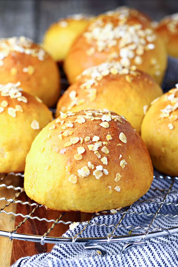 Overnight Yeast Pumpkin Rolls