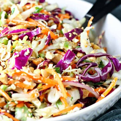 Crunchy Asian Slaw feature