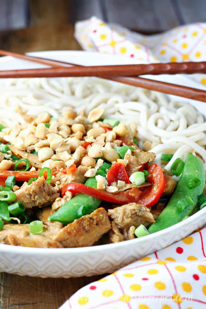 Slow Cooker Thai Peanut Pork