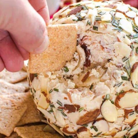 Swiss Almond Cheeseball 5b 1