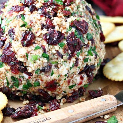 Cranberry Pecan Cheese Ball feature